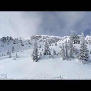 Meet your Posher, Darcy